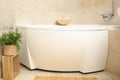 Modern comfortable bath with personal hygiene accessories Royalty Free Stock Photo