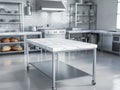 Modern Commercial Kitchen Interior with Marble Table