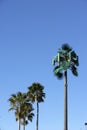 Modern Communications tower Royalty Free Stock Photo