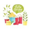 Modern composition with equipment for gardening and agriculture, Hello Spring lettering and plants growing in pots