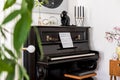 Modern composition of home interior with stylish black piano, design furnitures, plants, decoration, flowers, mock up painitngs Royalty Free Stock Photo