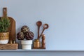 Modern composition on the kitchen interior with vegetables cutting board, food, herbs, kitchen accessories and copy space. Royalty Free Stock Photo