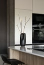 Modern composition of kitchen space with design kitchen island, design vase with dried flowers, black hookers, grey table, flowers Royalty Free Stock Photo