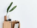 Modern composition of living room interior with design wooden bookcase, tropical leaf in vase, book, decoration, glassy ball.