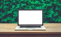 Modern computer,laptop with blank screen on table with green leaf Royalty Free Stock Photo