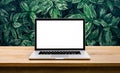 Modern computer,laptop with blank screen on table with green leaf Royalty Free Stock Photo