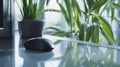 Modern Computer Mouse on Glass Desk with Plants in Background Royalty Free Stock Photo