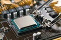 Modern computer processor on CPU socket Royalty Free Stock Photo