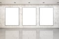 Modern concrete interior with three blank white banners on wall with reflections Royalty Free Stock Photo