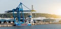 Container seaport crane