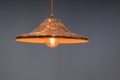 Modern copper ceiling lamp flat shape design interior decoration