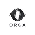 Modern couple of orca killer whale logo icon vector