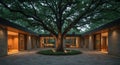 Modern courtyard home with large tree Royalty Free Stock Photo