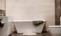Modern and cozy bathroom interior with decorative elements Royalty Free Stock Photo