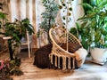 A modern cozy beautiful room with a braided rope macrame chair, green plants and a window with curtains. Interior and