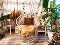 A modern cozy beautiful room with a braided rope macrame chair, green plants and a window with curtains. Interior and