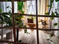 A modern cozy beautiful room with a braided rope macrame chair, green plants and a window with curtains. Interior and