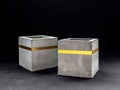 Modern cubic concrete planter. Painted concrete pot for home decoration