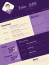 Modern curriculum vitae resume with purple stripes Royalty Free Stock Photo