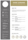 Modern Curriculum Vitae Template with icons