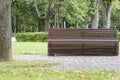 Modern curve shaped wooden bench under old and tall trees in the park as background image