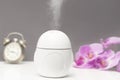 Modern cute air humidifier with steam,water articles,essential aroma oil diffuser and houseplant on table commode in bed Royalty Free Stock Photo