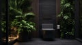 Modern 3D Rendering of Dark Bathroom Interior with Black Toilet