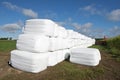 Modern Dairy Farm Hay Bales in Plastic Bags Royalty Free Stock Photo