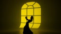 Modern dance choreography. Female silhouette of dancer dancing against window shade. Woman in flamenco style dress Royalty Free Stock Photo