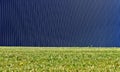 Modern dark blue aluminium cladding wall with vertical stripes and a meadow in front. Background for copy space