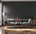 Modern dark home interior background, wall mock up Royalty Free Stock Photo