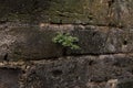 Modern decorative colored stone brick wall background Royalty Free Stock Photo