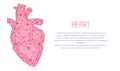 Modern depiction of human cardiovascular system organ for blood pumping. Polygonal human heart