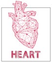 Modern depiction of human cardiovascular system organ for blood pumping. Polygonal human heart