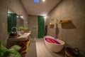 Modern design of bathroom with free standing oval bathtub, bidet, wooden cabinet with utensils and panoramic window