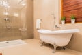 Modern design of bathroom Royalty Free Stock Photo