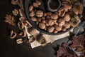 Modern design black ceramic bowl with walnuts, hazelnuts, almonds, chestnut hedgehogs on dark countertop and background. Autumn Royalty Free Stock Photo