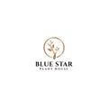 Modern design BLUE STAR PLANT HOUSE logo design Royalty Free Stock Photo