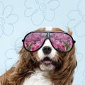 Modern design, contemporary art collage with cute doggies Royalty Free Stock Photo