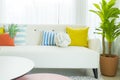 Modern design of living room with yellow,blue and orange pillow on sofa. Royalty Free Stock Photo