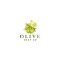 Modern design OLIVE SOAP CO fruit logo design