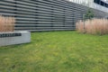 Modern design urban garden landscaping. Majestic ornamental feather reed grass and green grass lawn near modern office