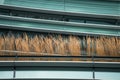 Modern design urban garden landscaping. Majestic ornamental feather reed grass on terrace of modern office building