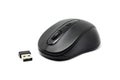 Modern design wireless mouse