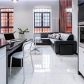 Modern designed apartment interior, panorama