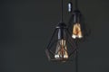 Modern designed light bulbs hangs on the wall indoors. Decoration and domestic life