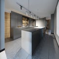 Modern designer kitchen in dark colors in a loft style Royalty Free Stock Photo