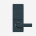 Modern digital door handle with Electronic lock, security door knob flat style.