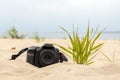 Modern digital SLR camera lying on the sand on the beach Royalty Free Stock Photo