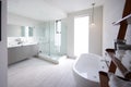 Modern domestic bathroom with shower cabin and freestanding bath, sunlight, no people